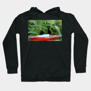 Party At The Feeder Hoodie